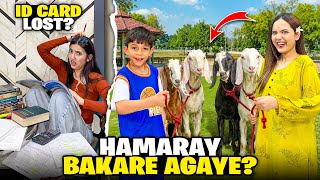 Qurbani Ky Barkare Agaye?🤩♥️|Dost Ny Surprise Dy Dia🥹🫂|Zainab Ka ID Card Gum Gaya😡🥲|Sistrology
