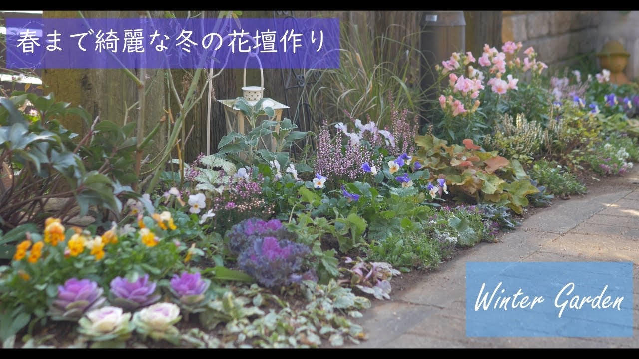 Gardening and Living｜Flowerbed makeover start to finish｜Planting