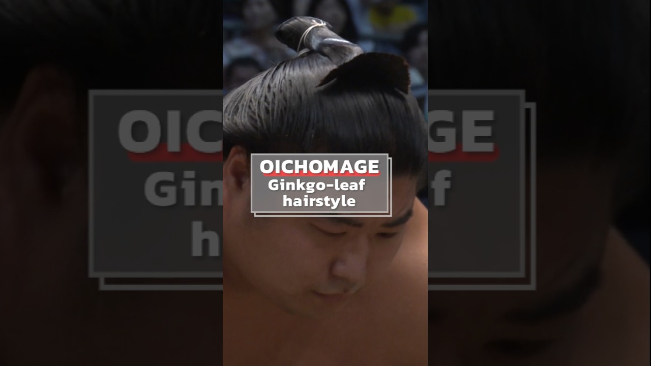 Symbol of Sumo Wrestlers: The Oichomage
