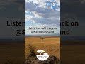 Savanna Sound - Winds of the African Plains
