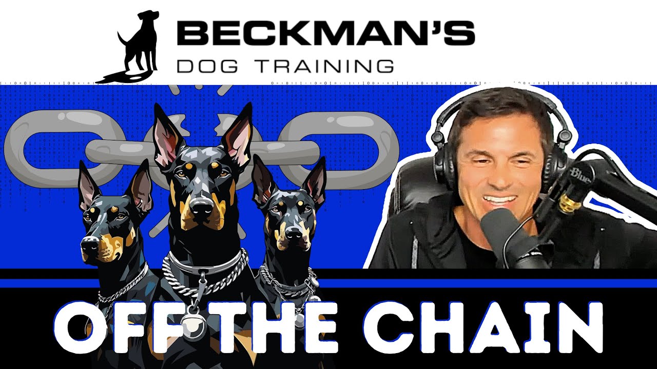 Beckmann Chain Beckman Off the Chain Live - YouTube