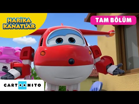 HARİKA KANATLAR | Kar Prensesi | CARTOONITO TAM BÖLÜM | Cartoon Network Türkiye