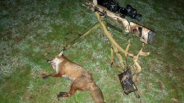 Foxing with the Pard 007