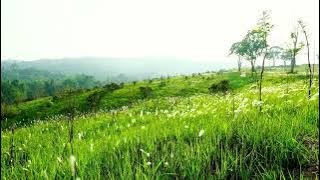 Disco Duces @happysimple5022 