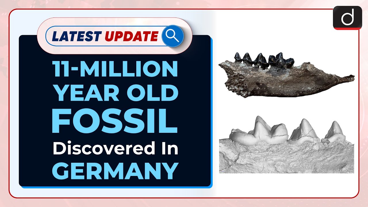 11-Million Year Old Fossil Discovered In Germany : Latest update | Drishti IAS English – Watch On YouTube