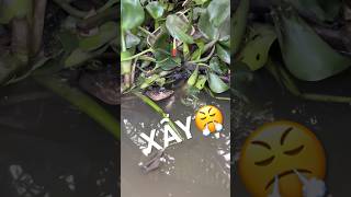 Dựt phát phao di xuống,cần đi lên 🎣😢 #CauCa #HaiHuaFishing #BigFish #FishingLife #FishingVideo