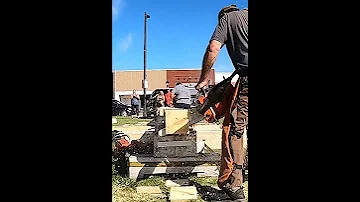 Chainsaw skills 2024  #lumberjack #viralvideos #lumberjacks