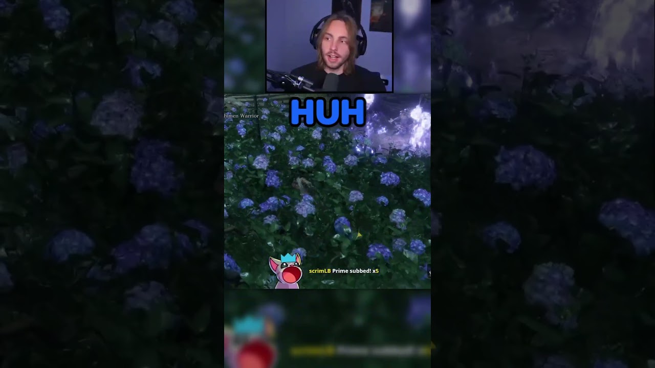 Most cursed sekiro randomizer race start ft. LilAggy