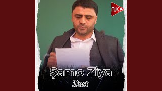 Dost