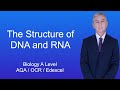 A Level Biology Revision "The Structure of DNA and RNA"