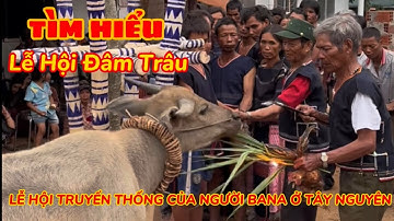 Khám Phá Lễ Hội Đâm Trâu Tây Nguyên | Làng Nak Kbang Gia Lai