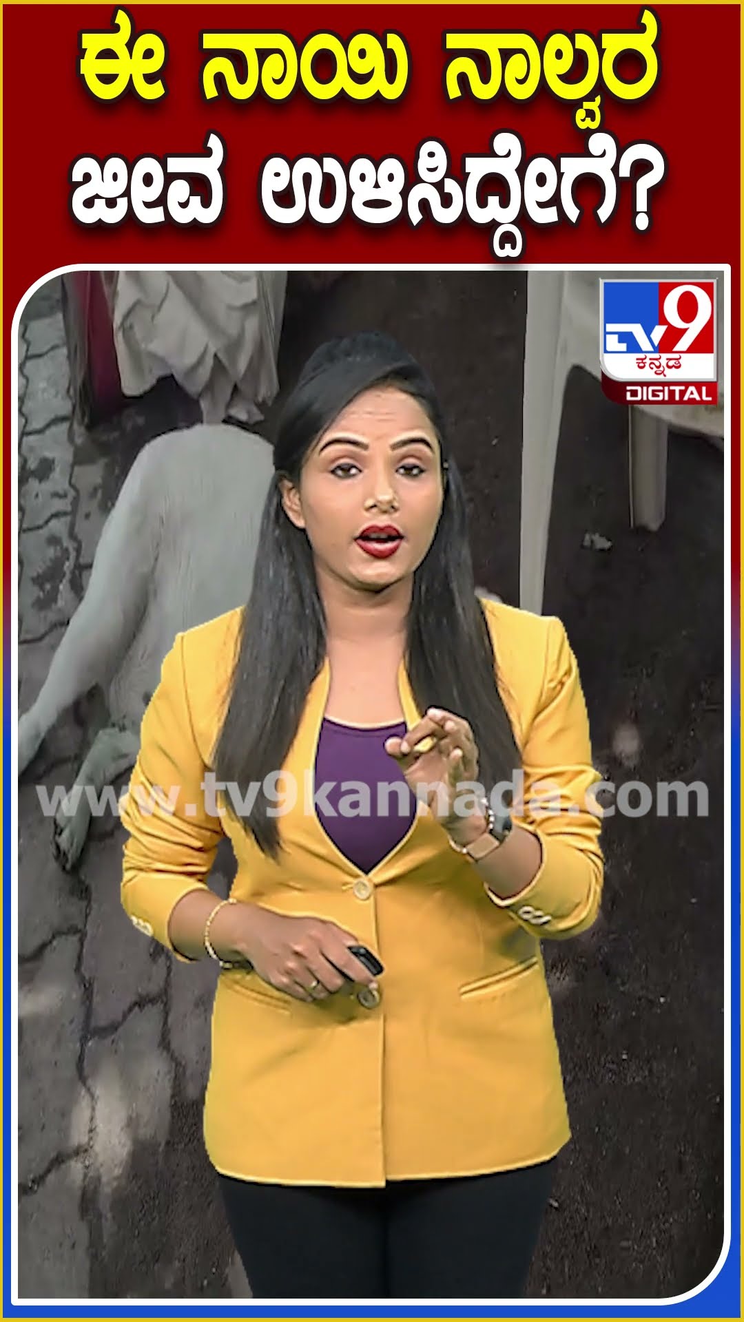 ಈ ನಾಯಿ ನಾಲ್ವರ ಜೀವ ಉಳಿಸಿದ್ದೇಗೆ? #Dog #Tv9D