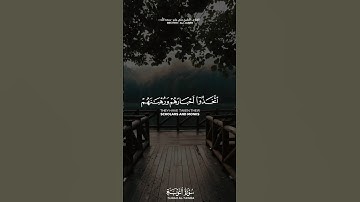 الشيخ علي جابر رحمه الله | سورة التوبة
