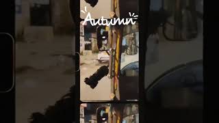 Raataan Lambiyan From Shershah