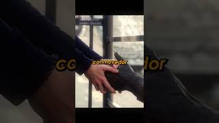 ¡Salvaron al cachorro y se convirtieron en héroes! 🤯 #shorts