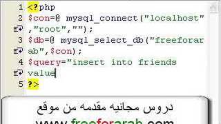 Mysql Inserting Data Exercise