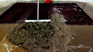 The most oddly satisfying Rug Scraping compilation video №1