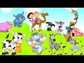 Suara binatang lucu untuk anak anak | Nama dan suara herbivora(sapi, kambing, kuda, gajah, badak,)