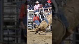 Rodeo Inside a Maximum Security Prison?