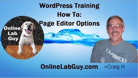 The Wordpress Page Editor: Editing Icons and How to use them.