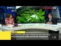 Minsa detalla proyecto de Reglamento que regula uso medicinal del cannabis
