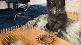 Playing lyre harp for a kitten