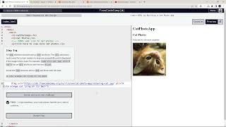 Learn HTML by Building a Cat Photo App | Steps 1-10 | (New) Responsive Web Design | FreeCodeCamp.org