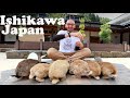 Ishikawa, Japan |  Bunnies, Forests &amp; a Big Hot Dog