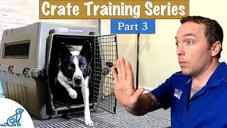 The Trick To Stop Your Puppy From Barging Out Of Their Crate