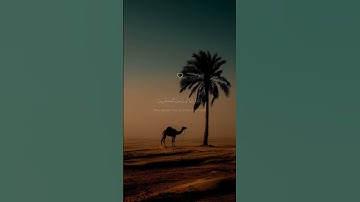 تلاوة هادئة تمس القلب 😍❤️ | إسلام صبحي بأعمق تلاوة ستهدئ روحك تماما #إسلام_صبحي #short