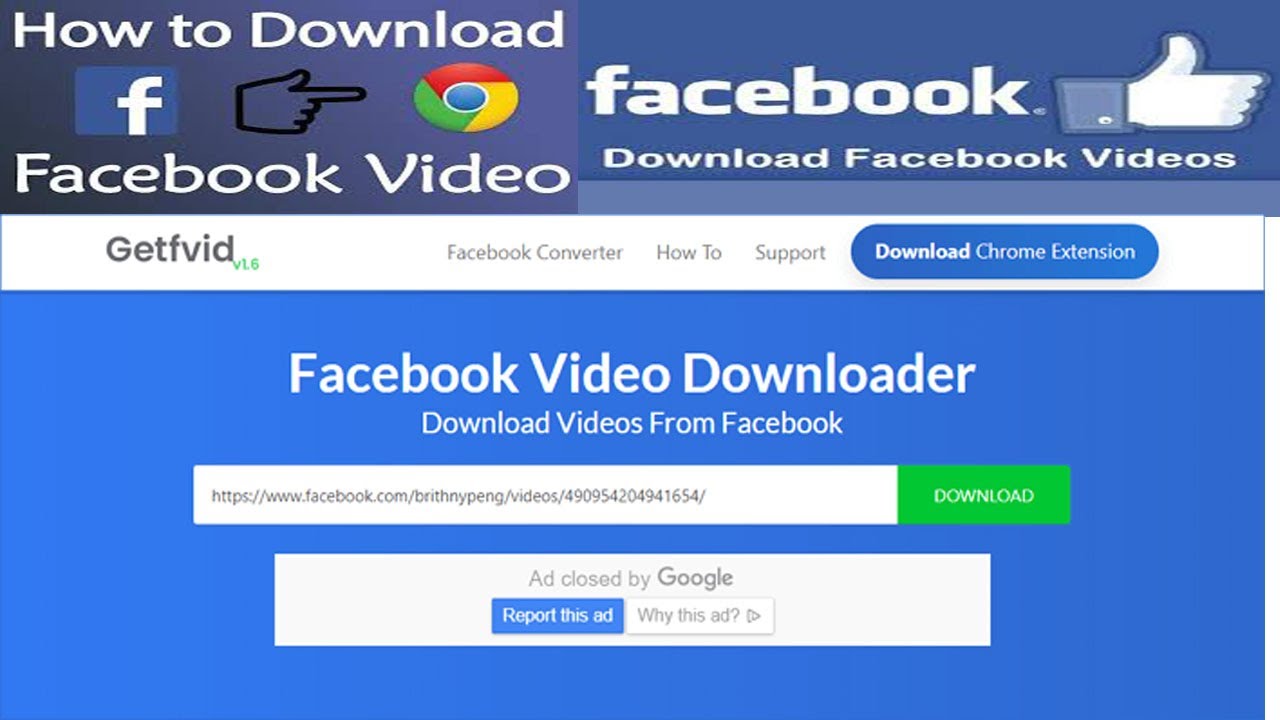 How download video from facebook Facebook video download Free