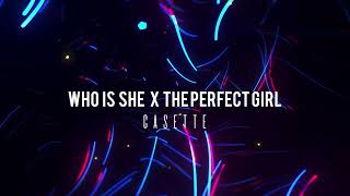 Who Is She x The Perfect Girl (Reverbed to perfection)I Monster, Mareux (Lyrics) | oh who is she