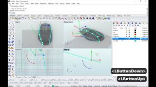 Rhino tutorials  Mouse modeling