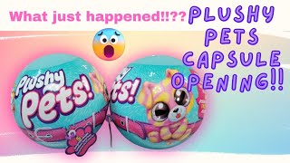 Opening Two Plushy Pets Capsules!!  By Zuru! ( I was SHOCKED)!!!! 😲