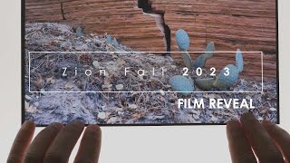 Zion Fall 2023: Film Reveal (Large Format Landscape Photography)