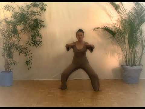 Cinq mouvements pour la partie terre Matre KE Wen les 20 mouvements essentiels du Qi Gong