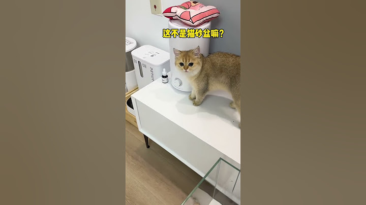 【牛奶是只猫】我家猫咪也有猫猫鱼缸啦！最后五只猫一起舔玻璃是几个意思？