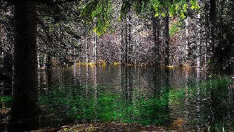 تلاوة مميزة تريح النفس وتشرح الصدر للقارئ عبد الرحمن مسعد💞🗯💦