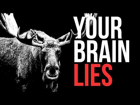 Why You Should Be Terrified of Moose