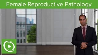 Female Reproductive Pathology: Introduction Vulva Pathology – Pathology | Lecturio