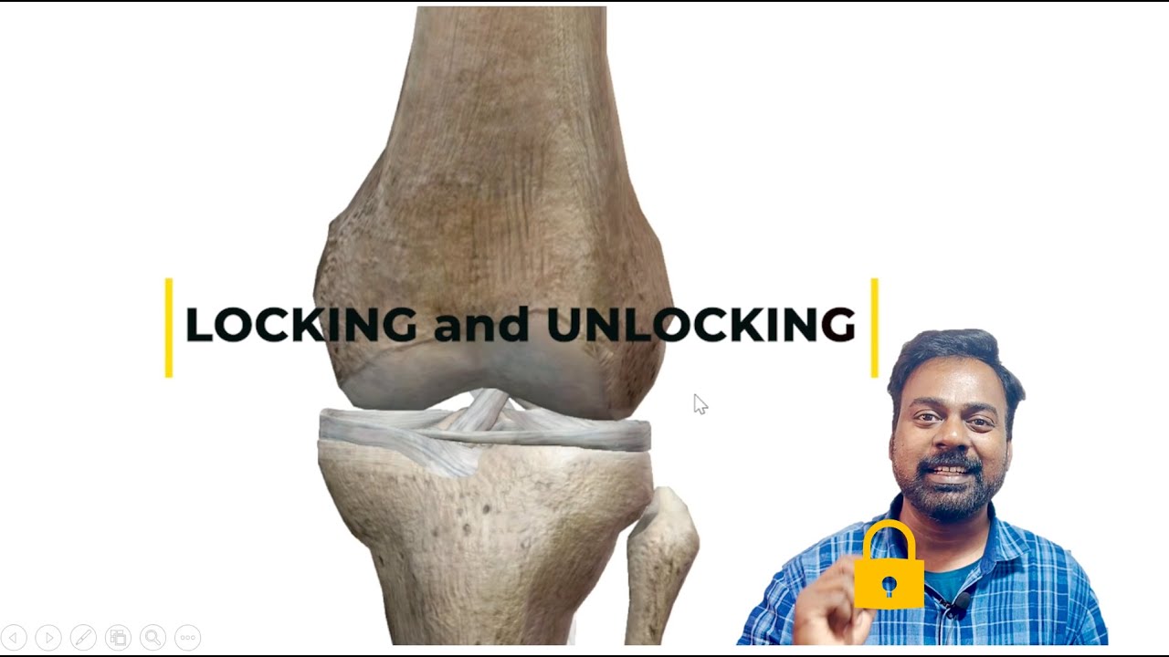KNEE JOINT 2 Blood Supply Bursa Movements And LOCKING UNLOCKING knee-joint-2-blood-supply-bursa-movements-and-locking-unlocking