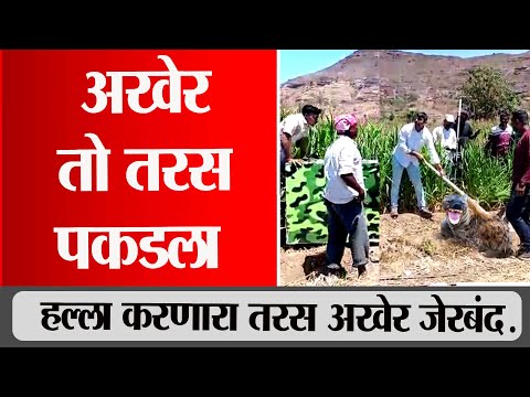 | Snn Marathi Viral Video Hayna