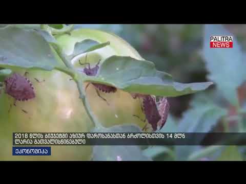 2018 წლის ბიუჯეტში აზიურ-ფაროსანასთან ბრძოლისთვის 14 მლნ ლარია გათვალისწინებული