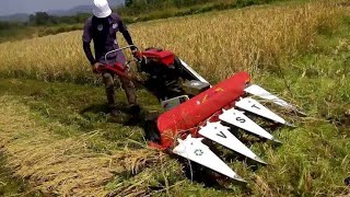 दमदार रीपर मशीन/Reaper Binder Review/📞9770639577||Power Reaper/Harvesting. by Egyan Farm Machine 87,629 views 4 years ago 3 minutes, 59 seconds