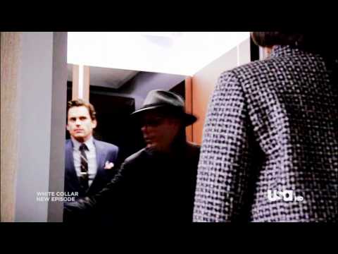 MOZZIE: That'll do pig, that'll do (white collar)