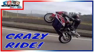 Wheelies & Speed - Honda CBR 1000RR Fireblade