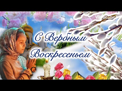С Вербным Воскресеньем🙏Вербное Воскресенье🙏Пожелание на Вербное Воскресенье