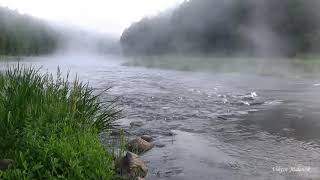 Река. Утро. Релакс. Медитация. Звук, шум воды. Туман. Природа. Музыка. Йога. Вилия