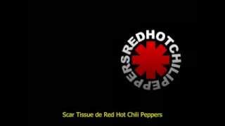 Red hot chili pepers - Scar tissue (subtitulado)