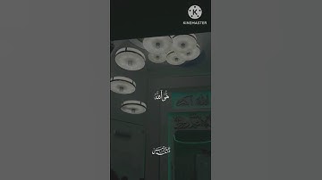 تلاوة في غاية الجمال___بصوت القارئ #عبدالرحمن_مسعد ___سورة (الاخلاص) #القرآن_الكريم #راحة_#اكسبلور